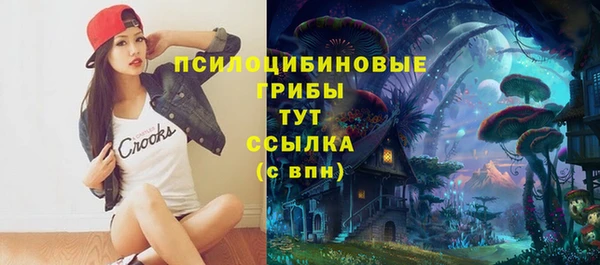 крисы Верхнеуральск