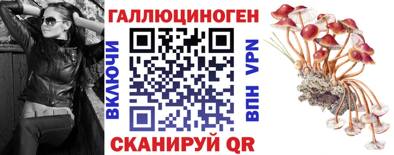 Псилоцибиновые грибы мицелий  shop как зайти  Ногинск  ОМГ ОМГ вход 
